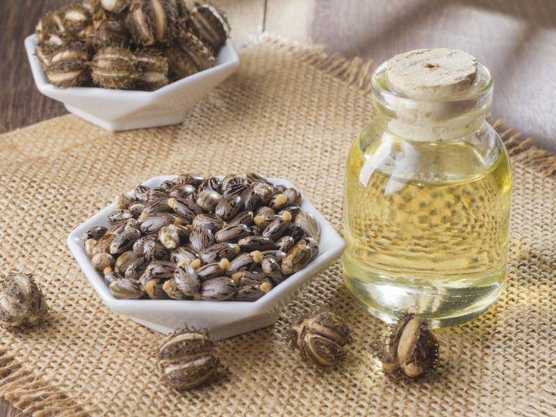 A bowl of nuts and some oil on the table