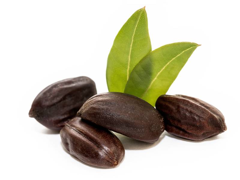 A group of dark chocolate covered nuts with leaves.
