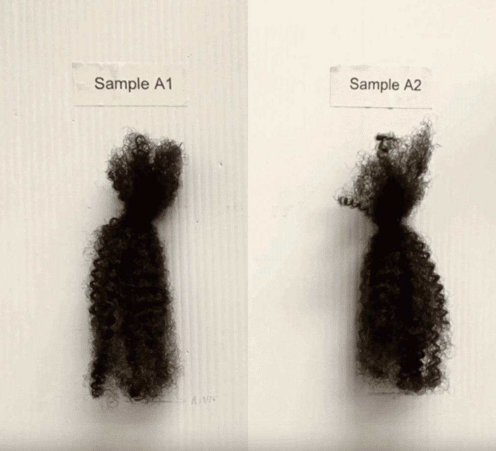 Two samples of black curly hair.
