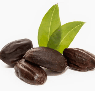 Jojoba seeds with green leaves.